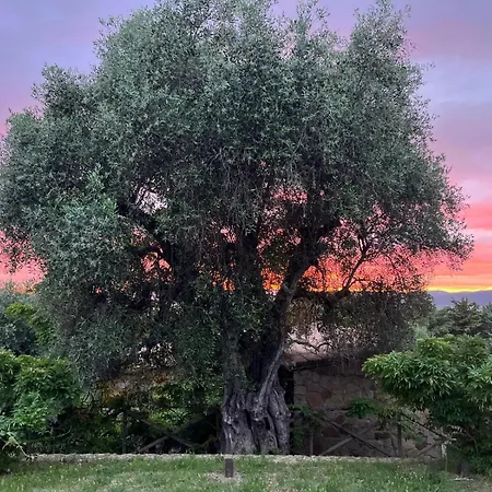 Hébergement de vacances Casa Melarosa Montemerano