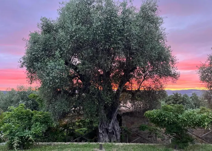 Casa de Férias Casa Melarosa Montemerano